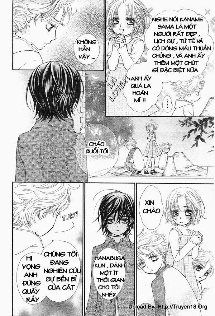 Hiệp sĩ Vampire: Chapter 28