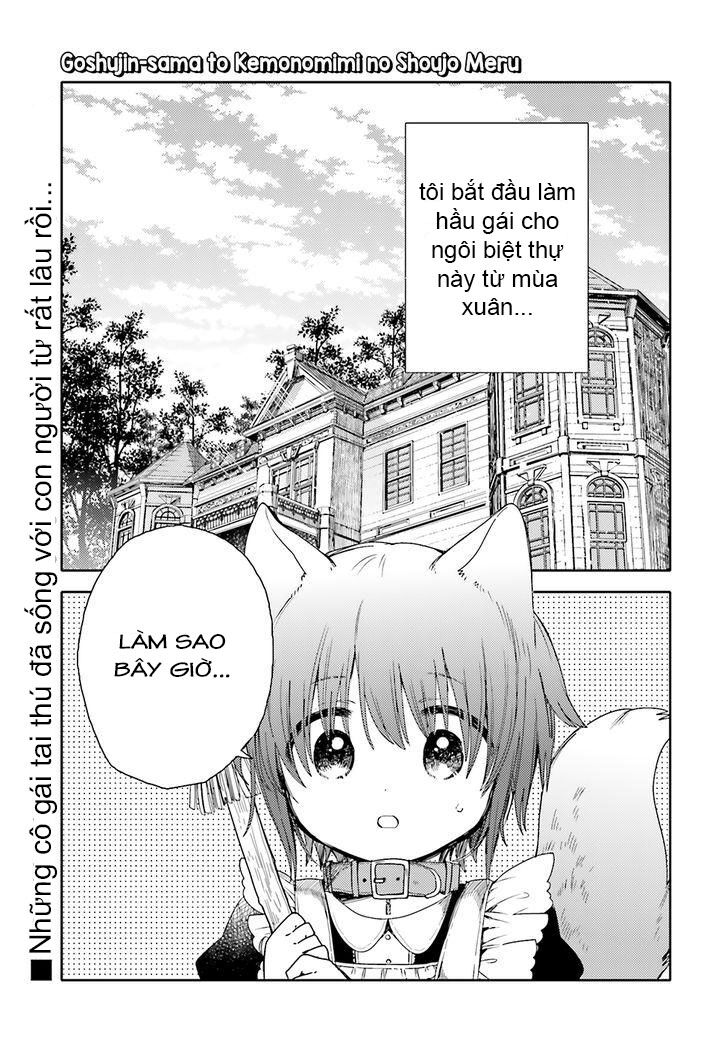 Goshujin-sama to Kemonomimi no Shoujo Meru: Chapter 1: Con bướm vàng