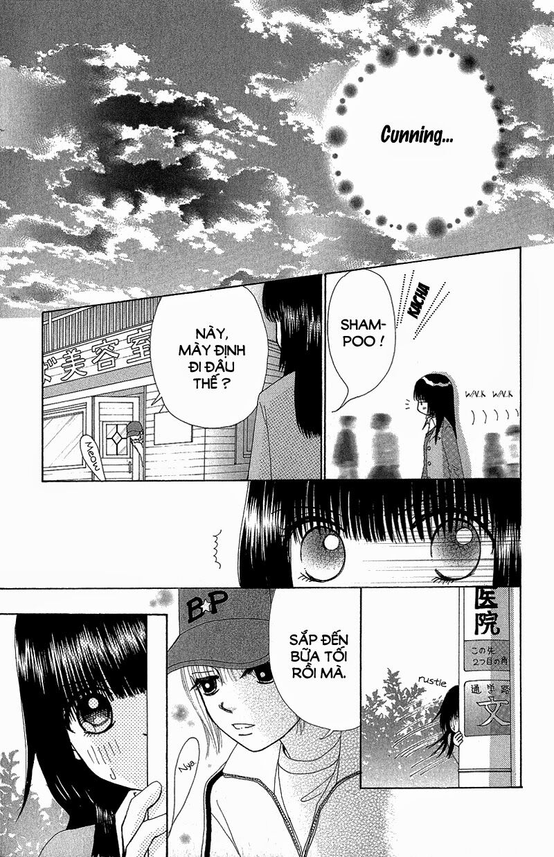 Dự Án Kéo Vàng: Chapter 53