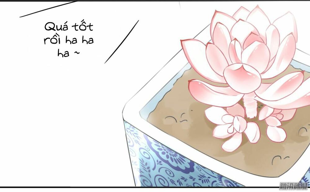 Quý tiết Của An Quyển: Chapter 1