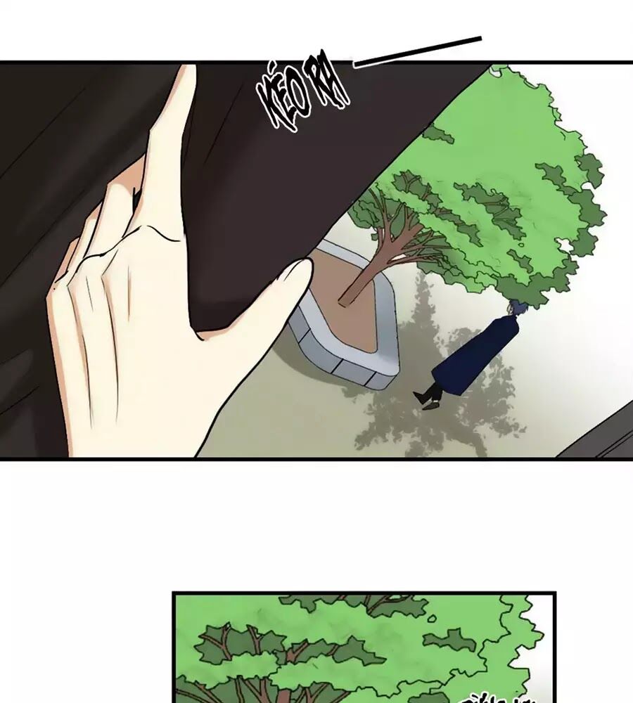 Quý tiết Của An Quyển: Chapter 33