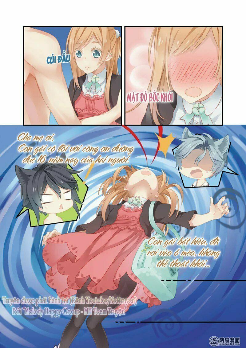 Xin chào! COFFEE CAT's: Chapter 1: Không phải chỉ là dị ứng với mèo thôi sao?