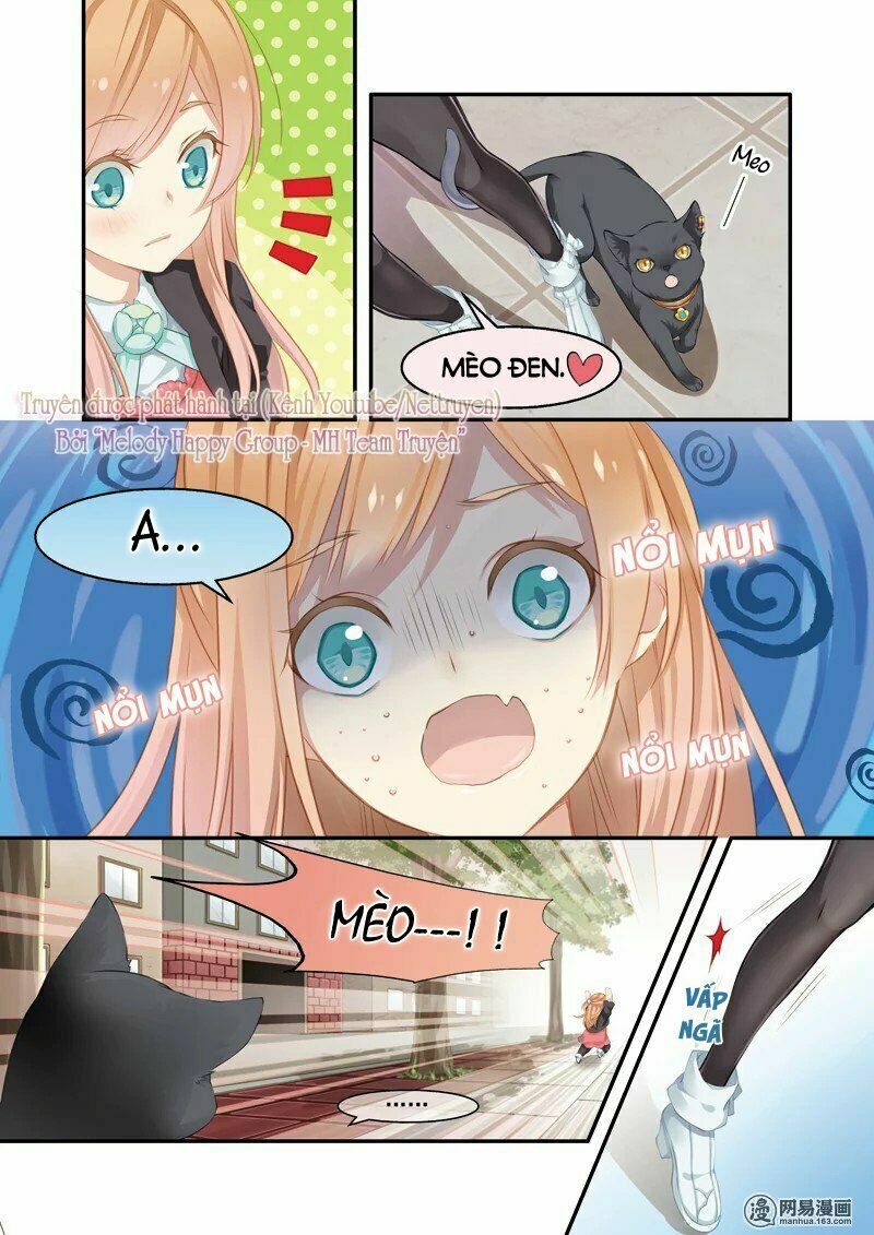Xin chào! COFFEE CAT's: Chapter 1: Không phải chỉ là dị ứng với mèo thôi sao?