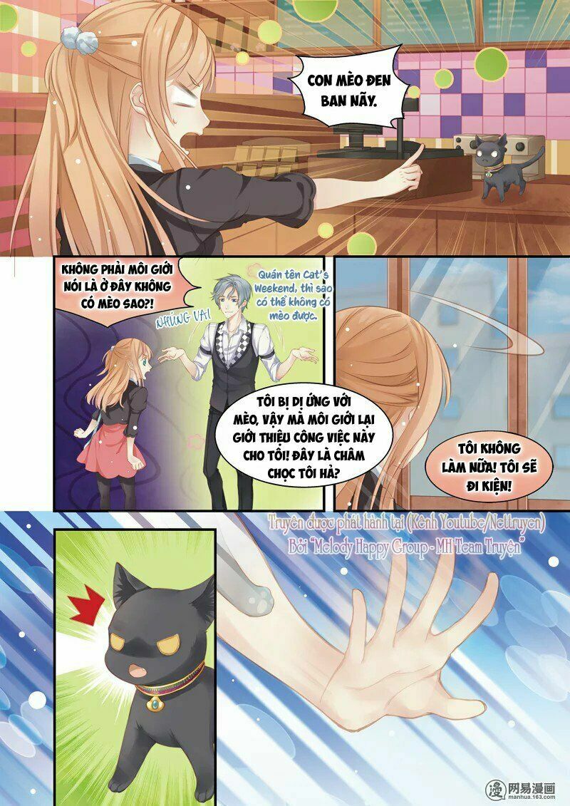 Xin chào! COFFEE CAT's: Chapter 1: Không phải chỉ là dị ứng với mèo thôi sao?