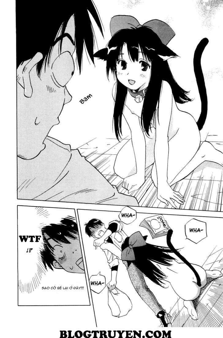 Magetsukan Kitan: Chapter 21: (@L@) - Mèo đi lạc