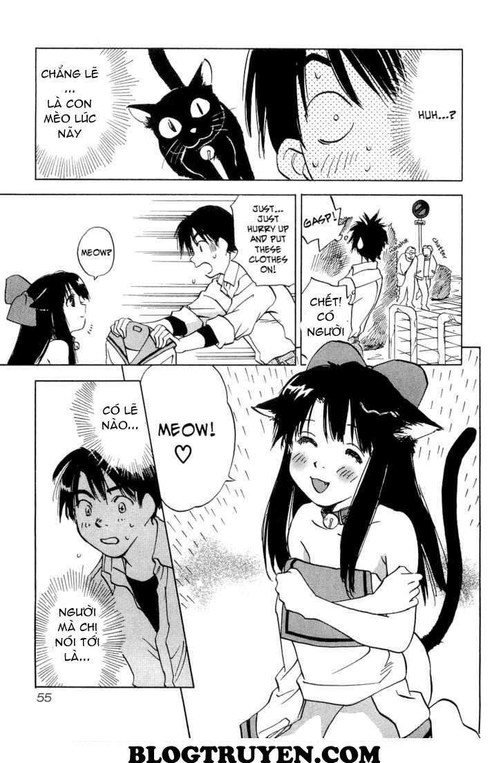 Magetsukan Kitan: Chapter 21: (@L@) - Mèo đi lạc