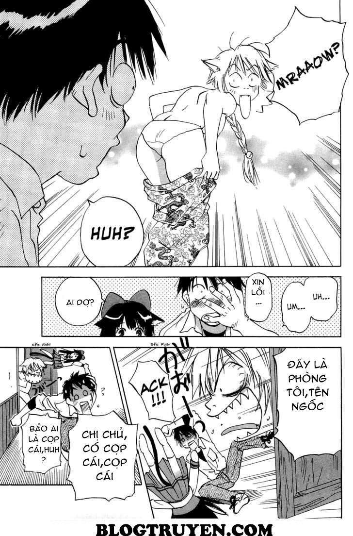 Magetsukan Kitan: Chapter 21: (@L@) - Mèo đi lạc