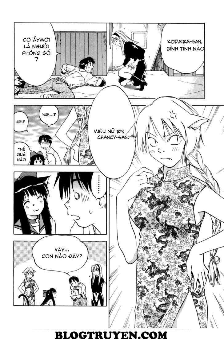 Magetsukan Kitan: Chapter 21: (@L@) - Mèo đi lạc
