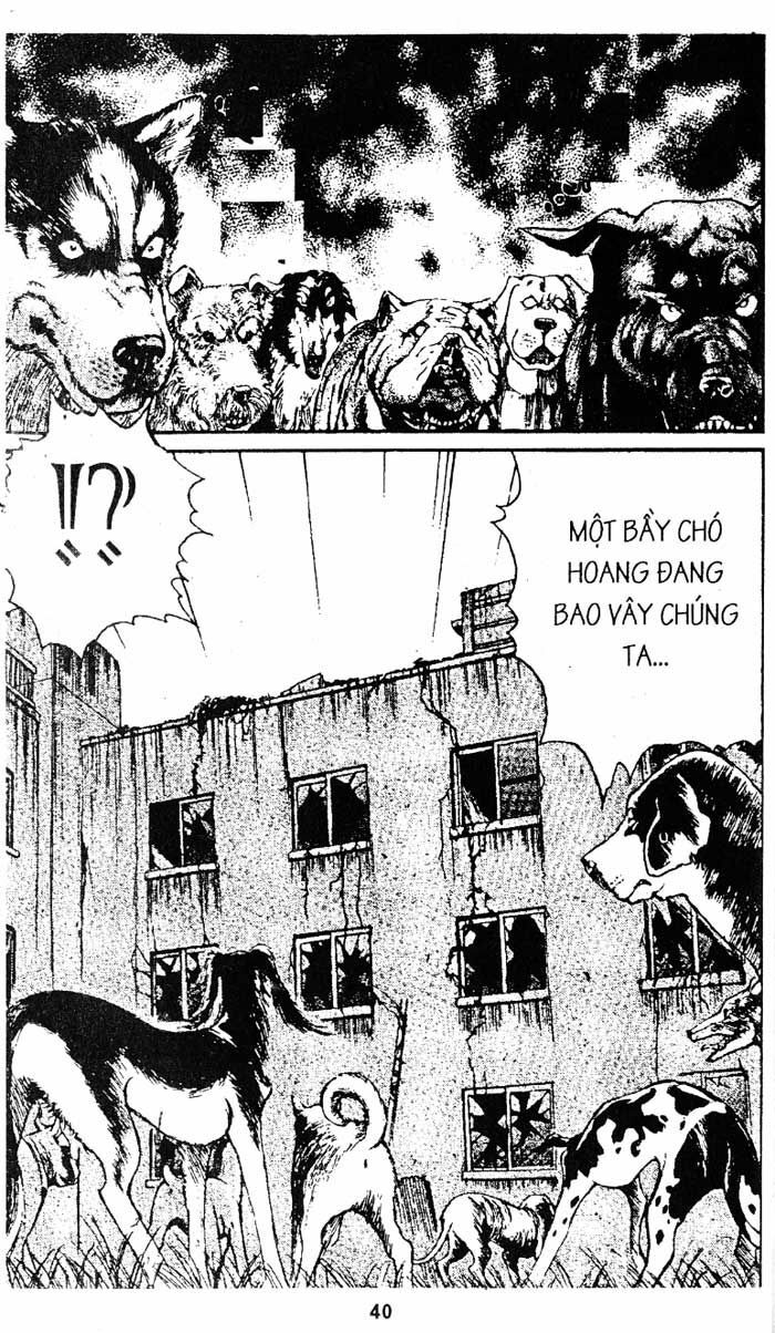 Thám Tử Kindaichi: Chapter 105