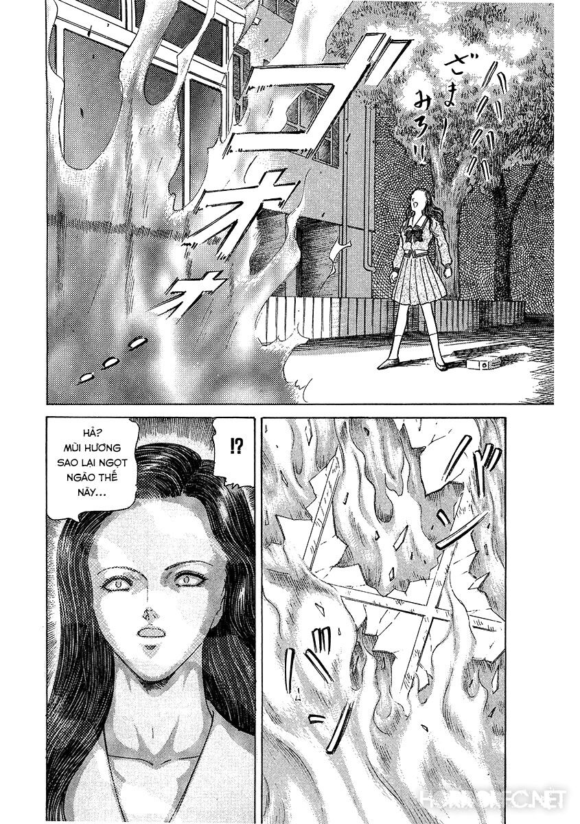 Dangerous female teacher: Chapter 17