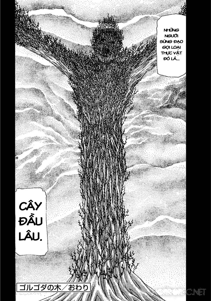 Dangerous female teacher: Chapter 29