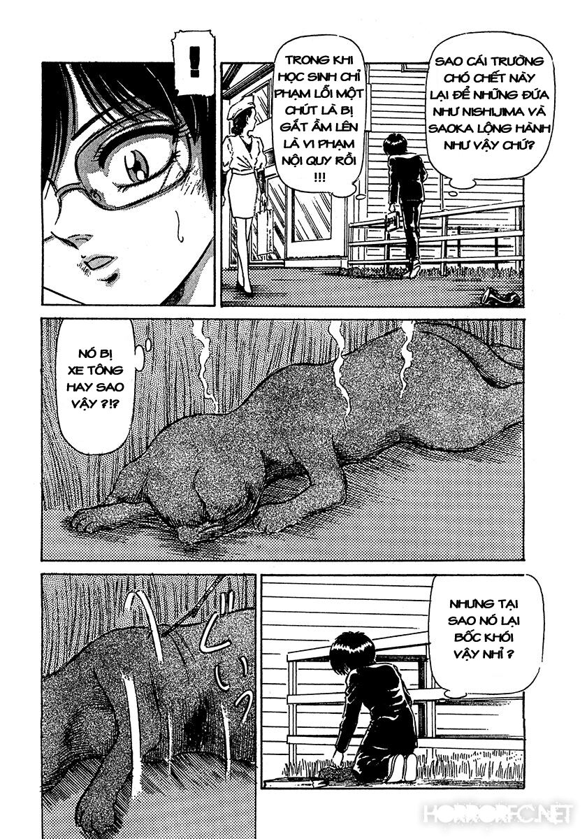 Dangerous female teacher: Chapter 37: Extra