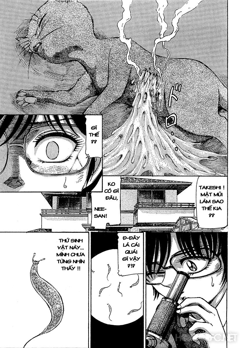 Dangerous female teacher: Chapter 37: Extra
