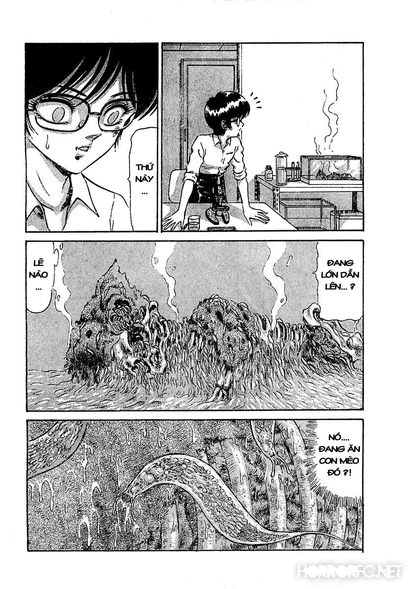 Dangerous female teacher: Chapter 37: Extra