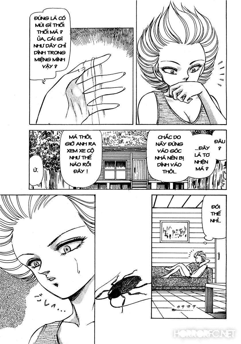 Dangerous female teacher: Chapter 38: Extra End