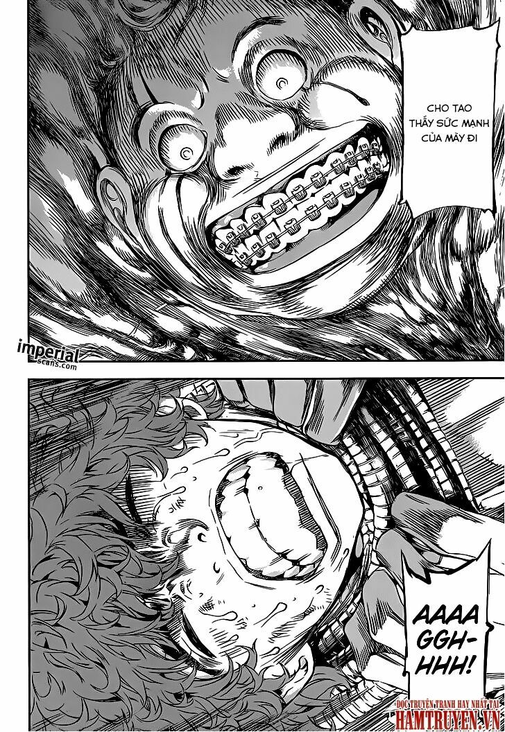 Area D: Chapter 117