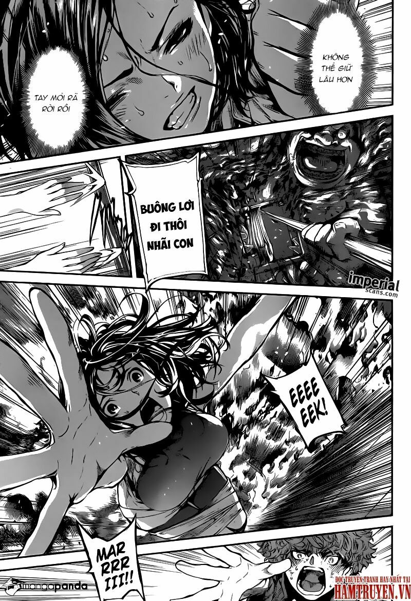 Area D: Chapter 120