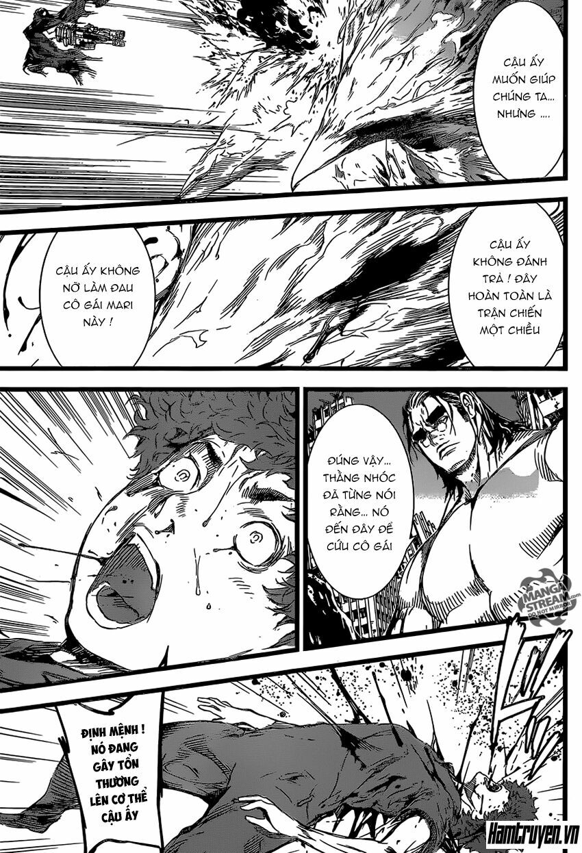 Area D: Chapter 135