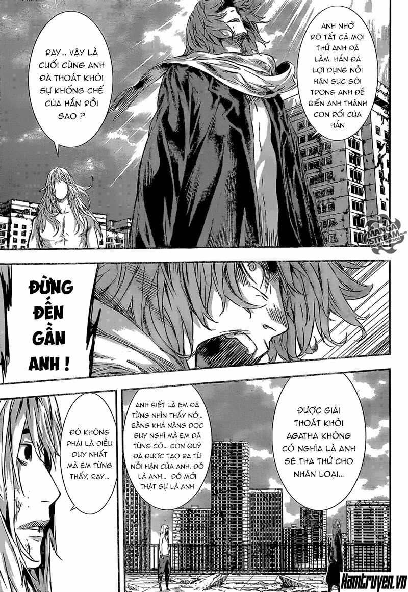 Area D: Chapter 137
