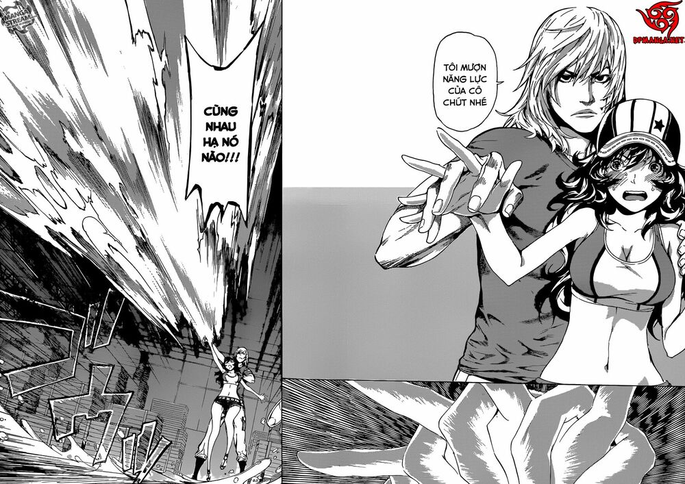 Area D: Chapter 81