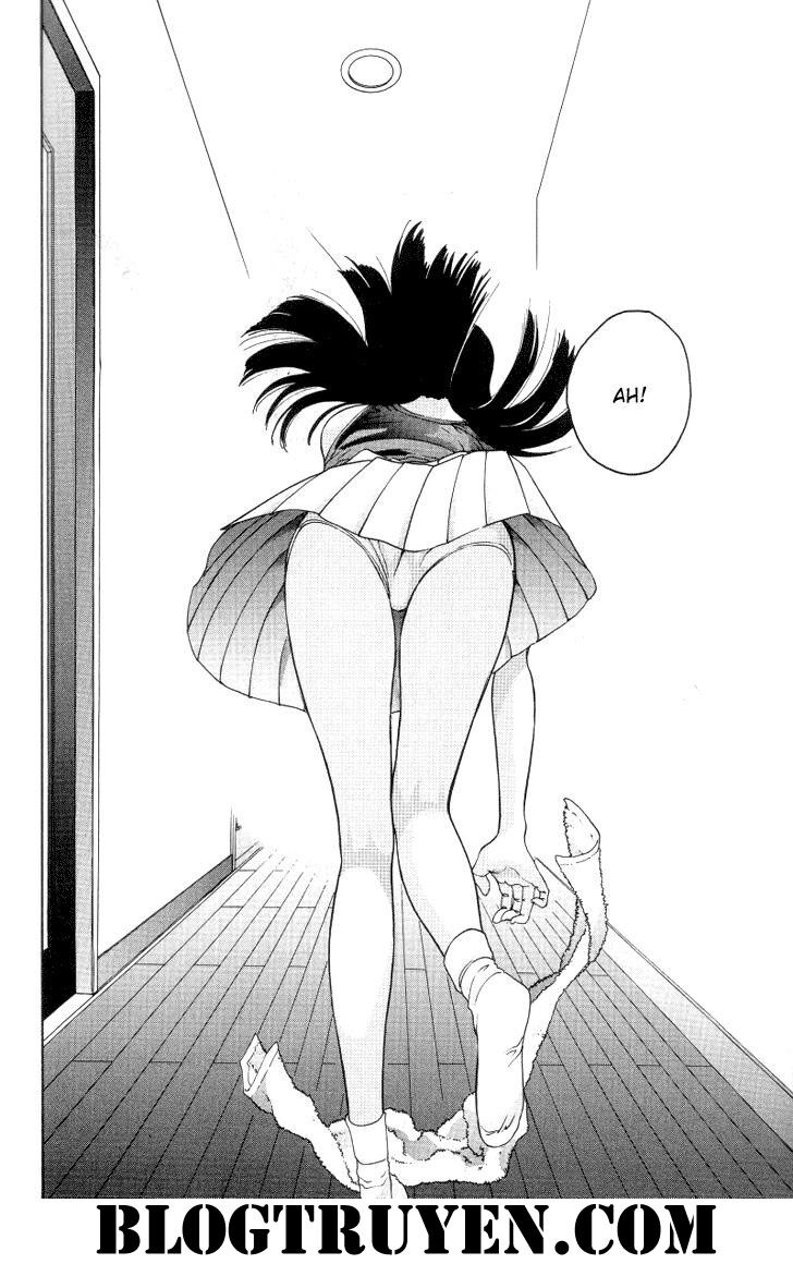 HEN: Chapter 19: -26