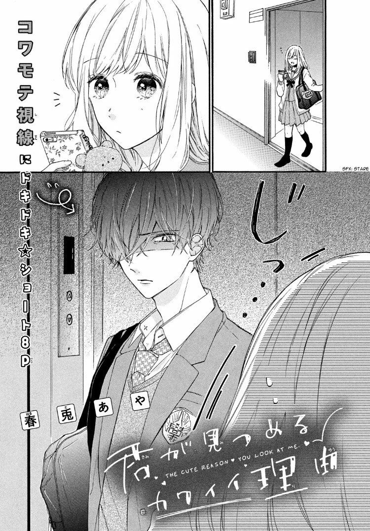 The Cute Reason You Look at Me: Chapter 1