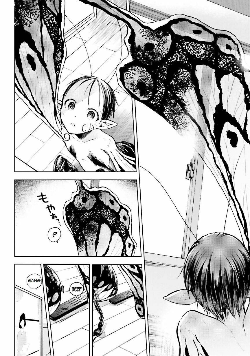 Ogeha: Chapter 6: Tuổi thọ của bướm