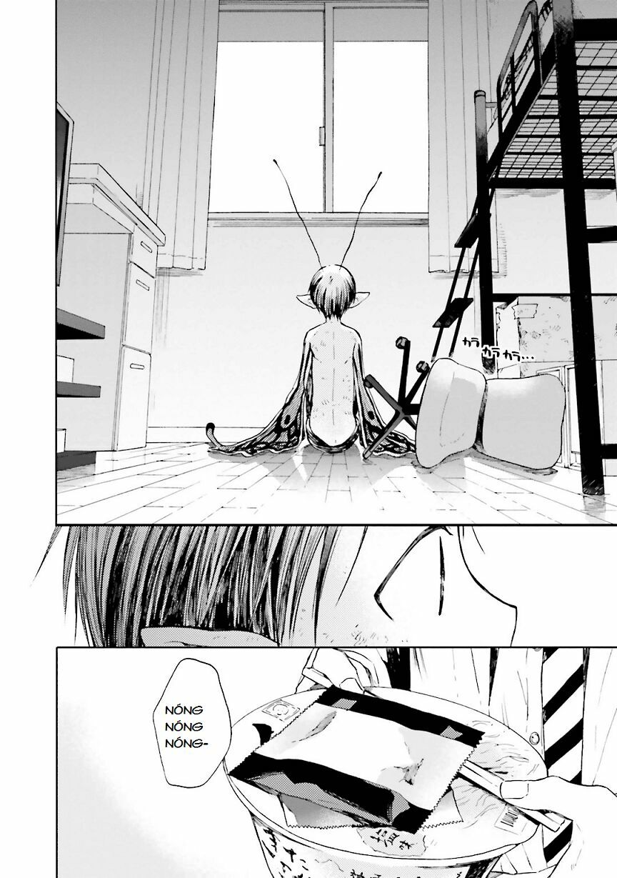 Ogeha: Chapter 6: Tuổi thọ của bướm