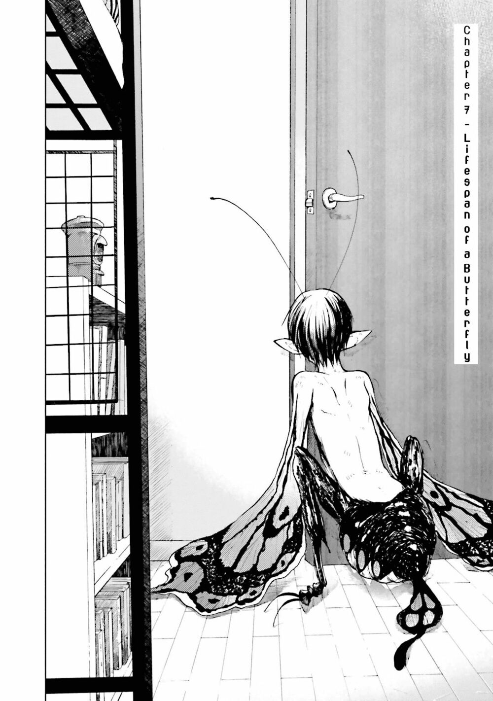 Ogeha: Chapter 6: Tuổi thọ của bướm