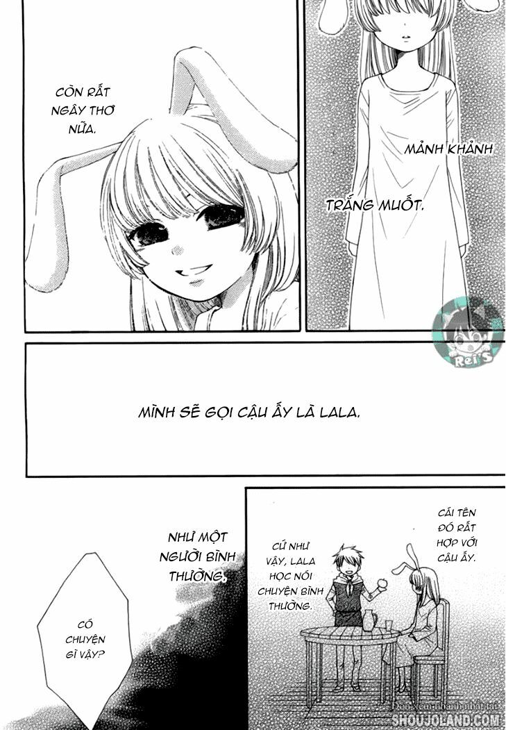 Bình Minh Arcana: Chapter 41
