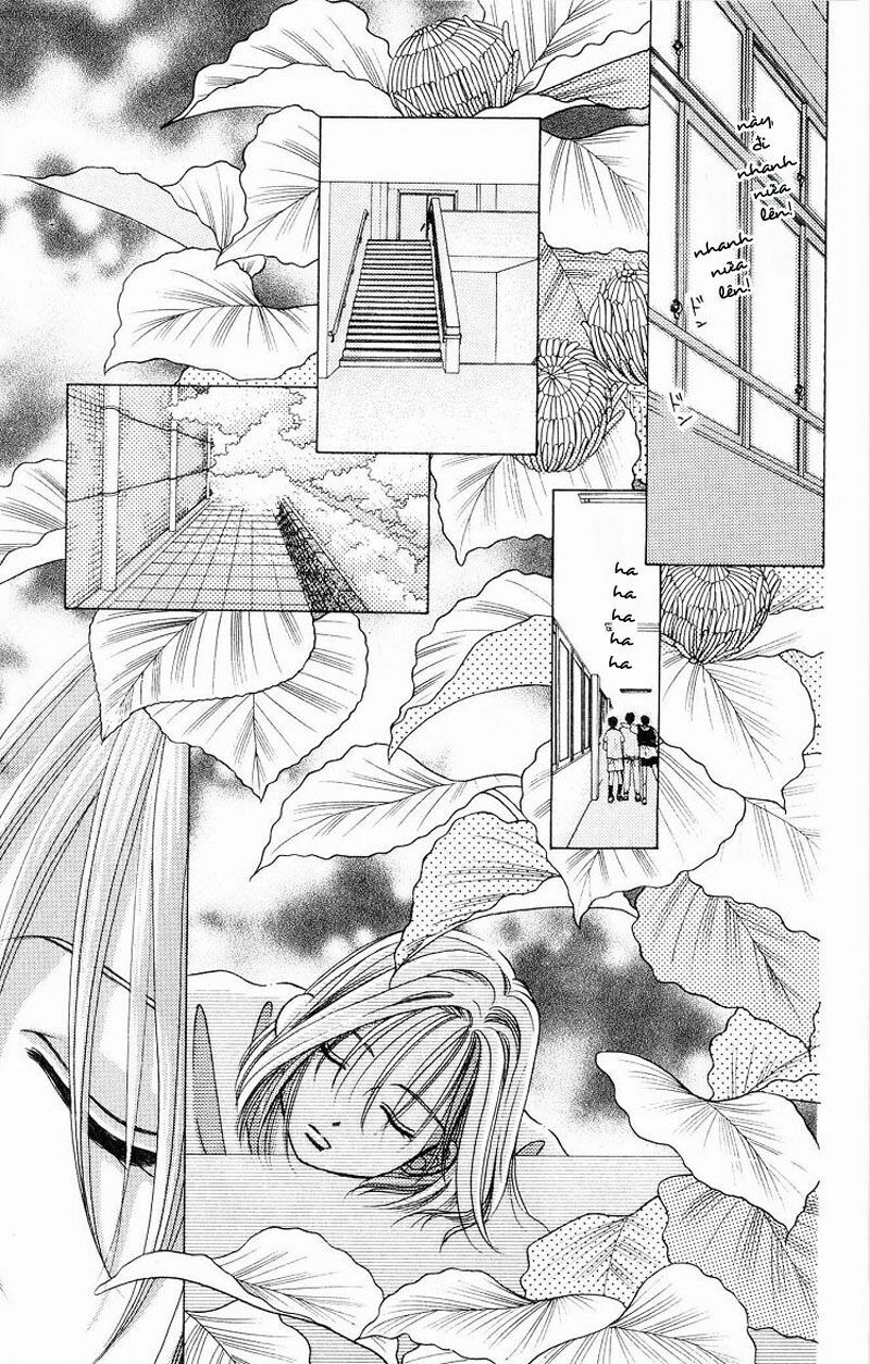 Kare kano: Chapter 5: Mê cung trường học
