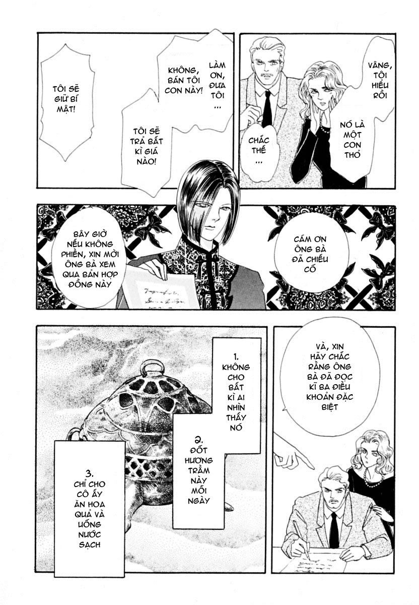 Tiệm Thú Kiểng: Chapter 3