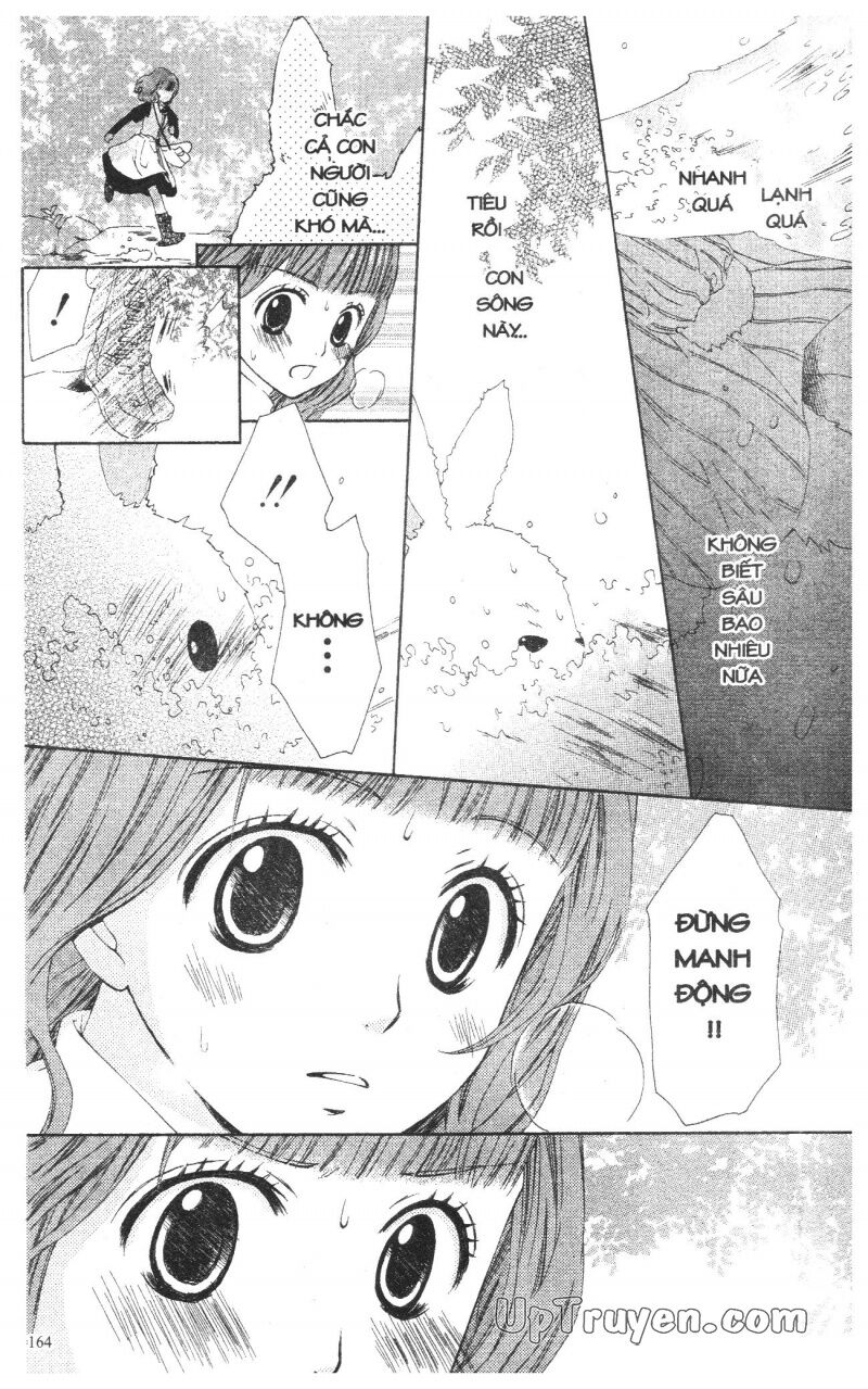 Báu Vật Hoàng Cung: Chapter 1