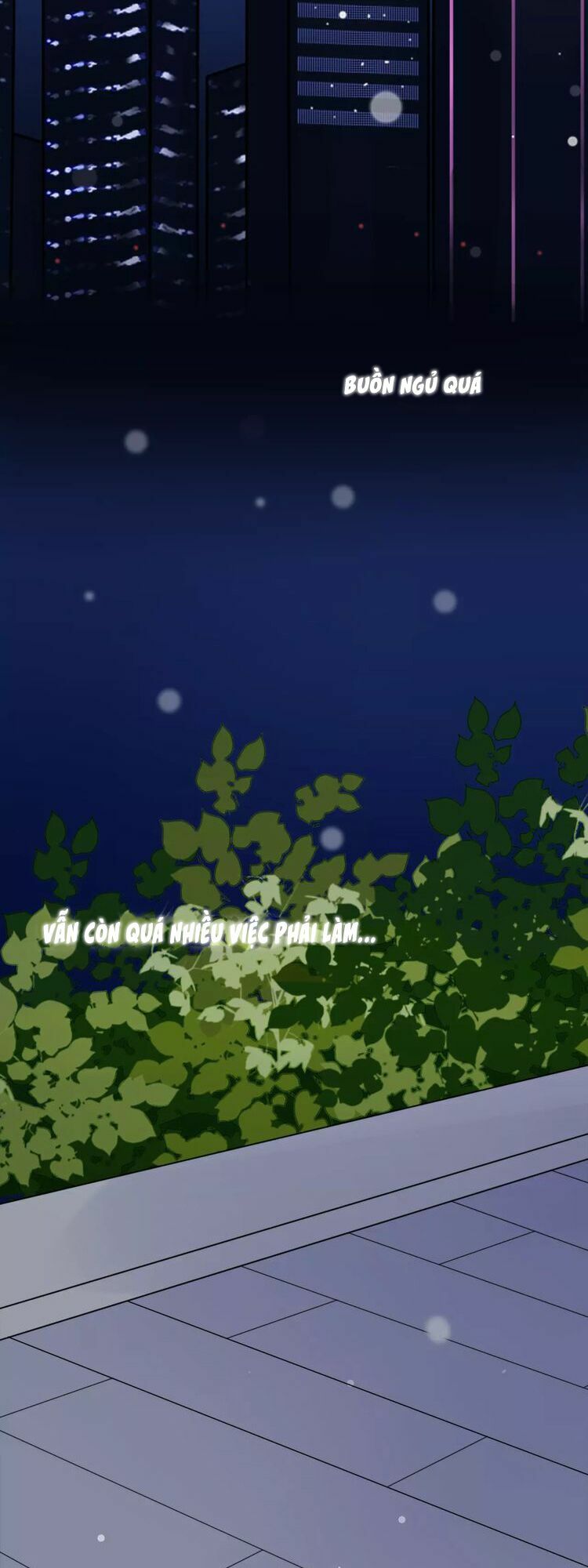Tiểu Miêu và Hắc Diệu Thạch: Chapter 1