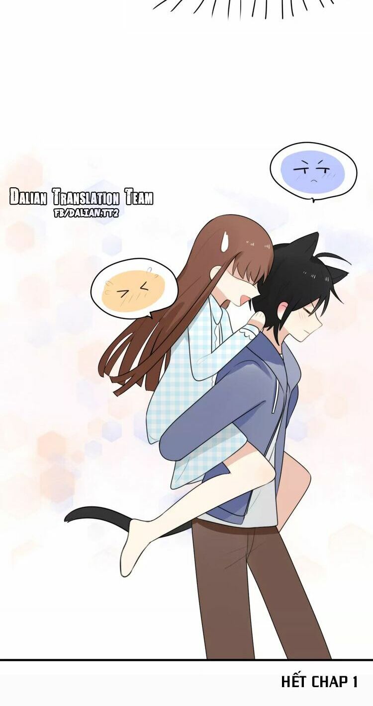 Tiểu Miêu và Hắc Diệu Thạch: Chapter 1