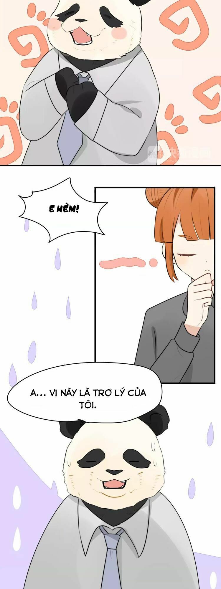Tiểu Miêu và Hắc Diệu Thạch: Chapter 2
