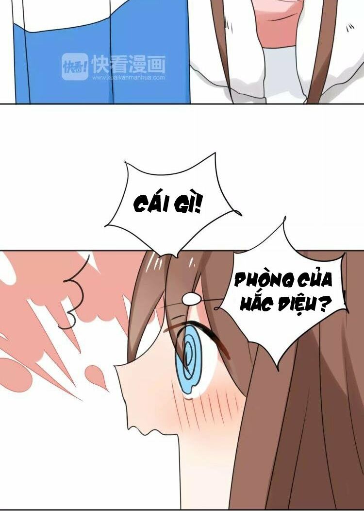 Tiểu Miêu và Hắc Diệu Thạch: Chapter 28