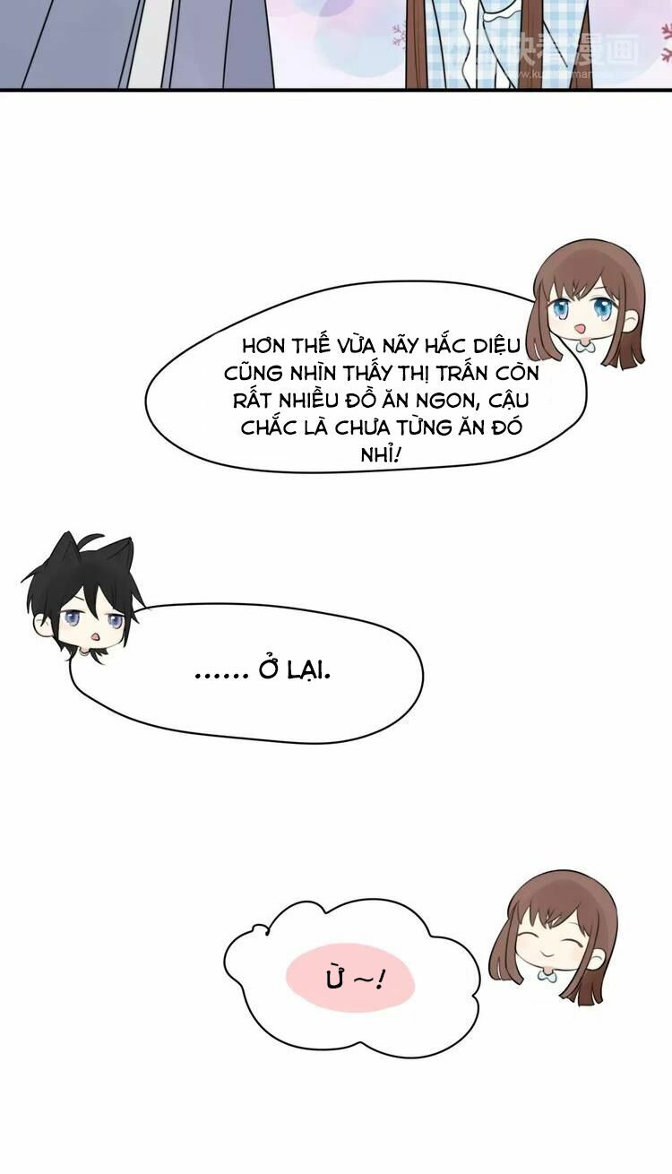 Tiểu Miêu và Hắc Diệu Thạch: Chapter 3