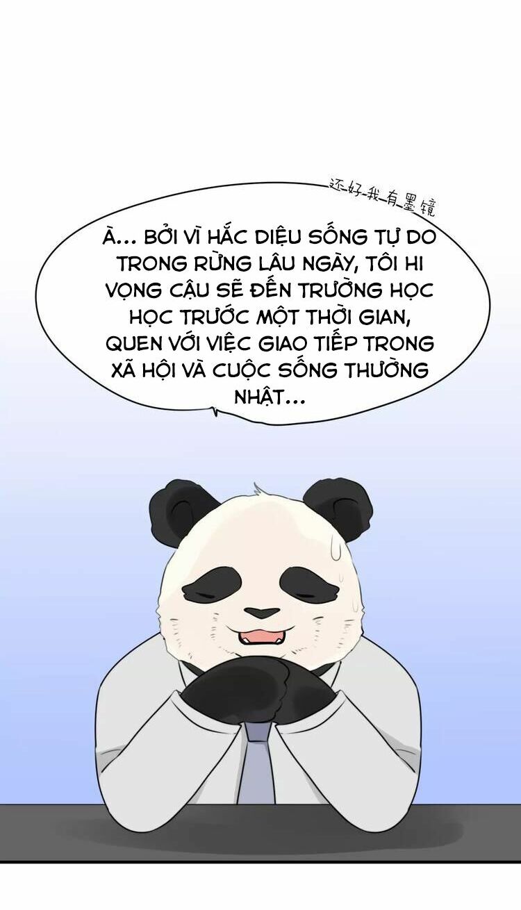 Tiểu Miêu và Hắc Diệu Thạch: Chapter 3