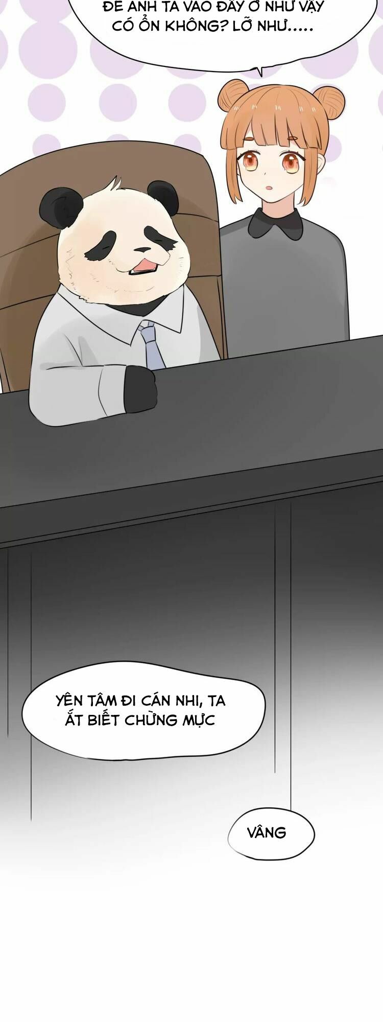 Tiểu Miêu và Hắc Diệu Thạch: Chapter 3