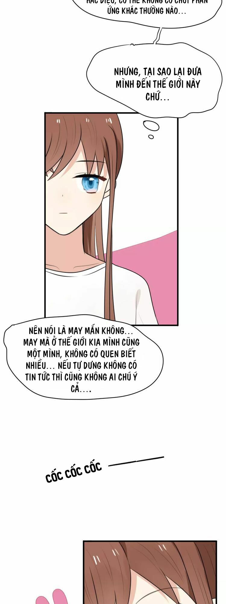 Tiểu Miêu và Hắc Diệu Thạch: Chapter 3