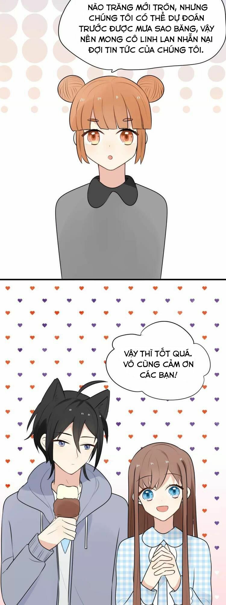 Tiểu Miêu và Hắc Diệu Thạch: Chapter 3