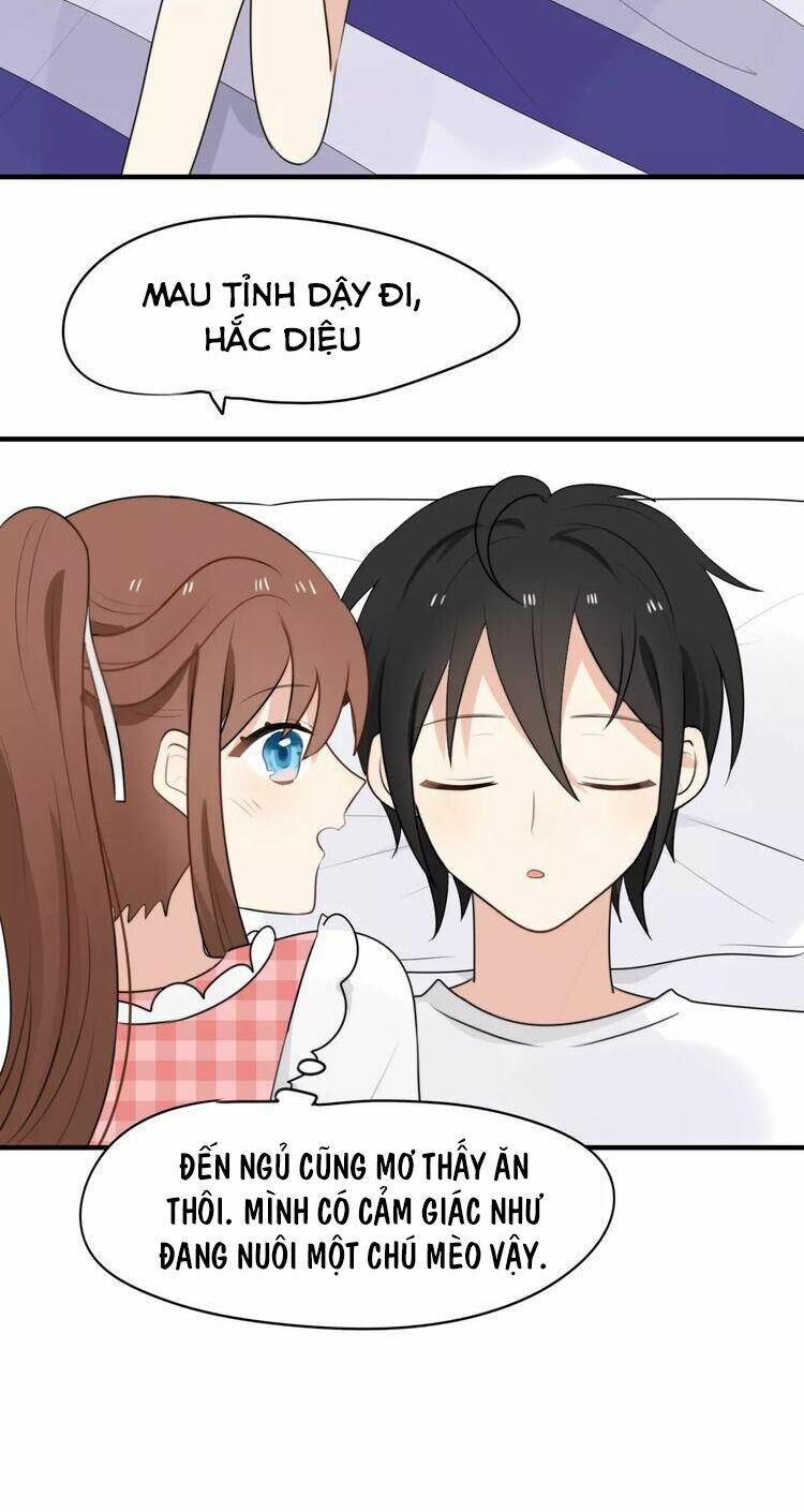 Tiểu Miêu và Hắc Diệu Thạch: Chapter 4