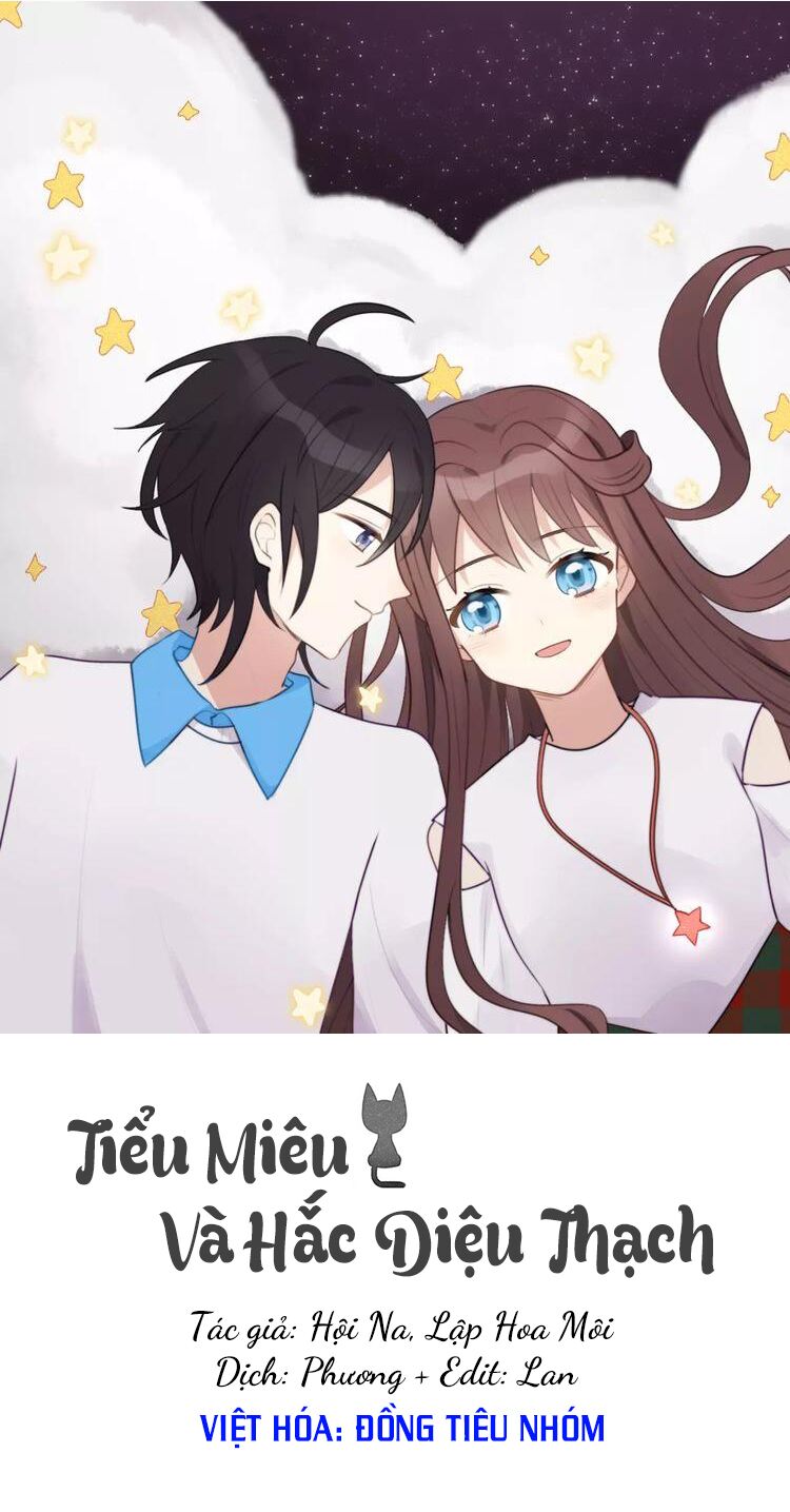 Tiểu Miêu và Hắc Diệu Thạch: Chapter 6