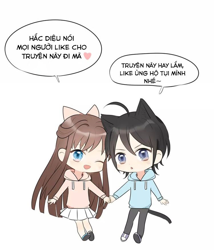 Tiểu Miêu và Hắc Diệu Thạch: Chapter 6