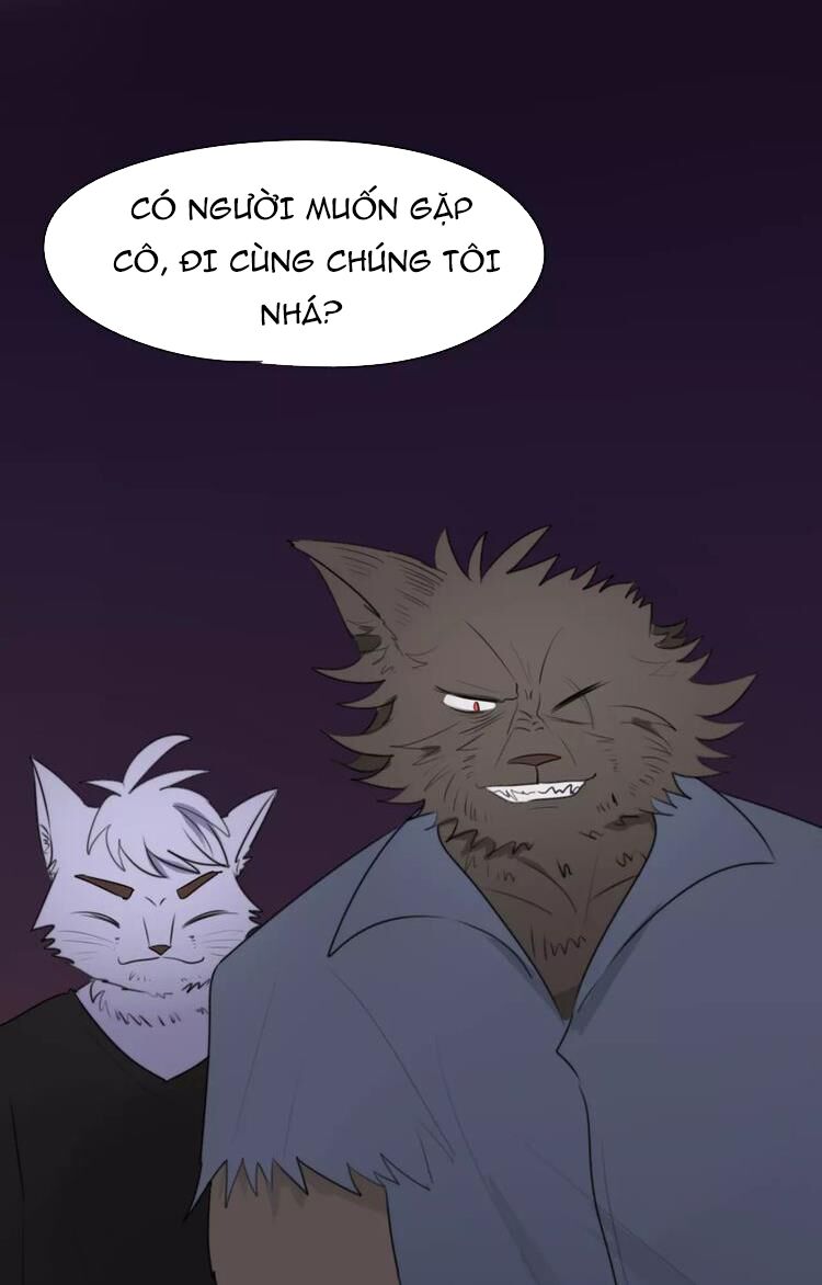 Tiểu Miêu và Hắc Diệu Thạch: Chapter 7