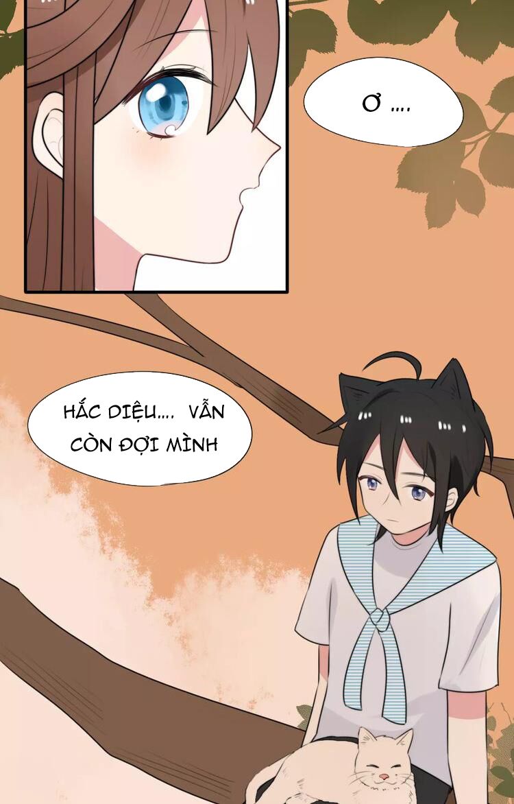 Tiểu Miêu và Hắc Diệu Thạch: Chapter 7