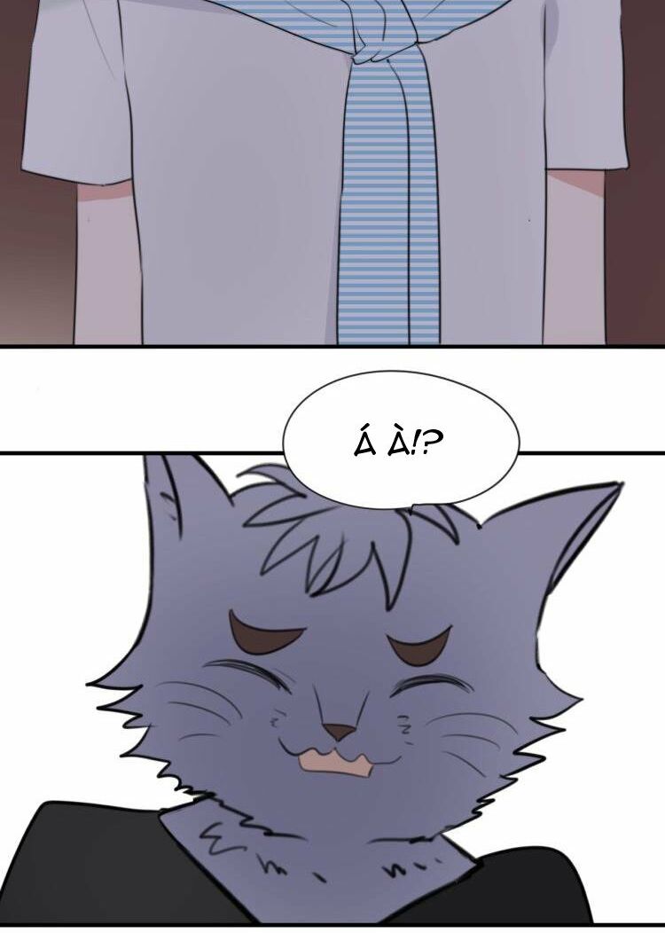 Tiểu Miêu và Hắc Diệu Thạch: Chapter 8