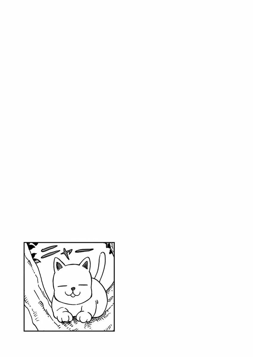 Ashita Wa Doyoubi: Chapter 14: Giải cứu mèo