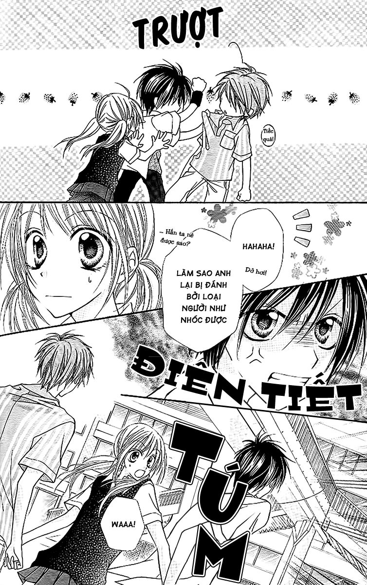 Bí mật xương rồng: Chapter 11